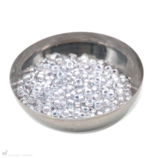  Perles de rocaille Perles rocailles 6/0 Pearlized Effect Silver 4613
